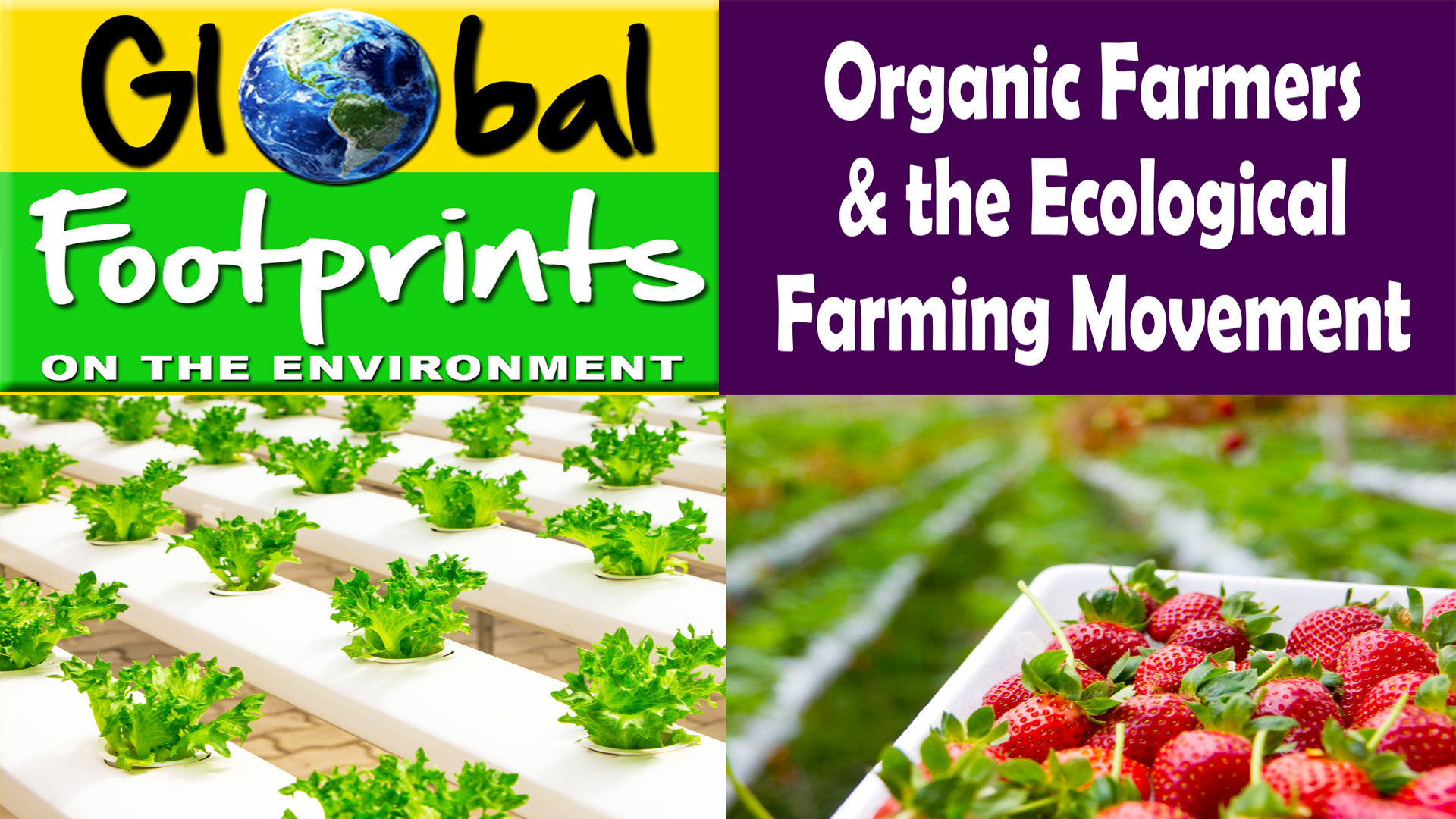K4701 - Organic Farmers & The Ecological Farming Movement