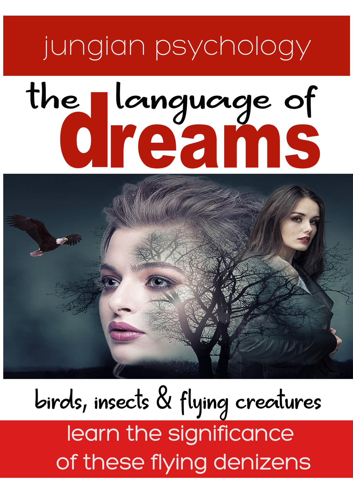 DR107 - Language Of Dreams Birds, Insects & Flying Creatures