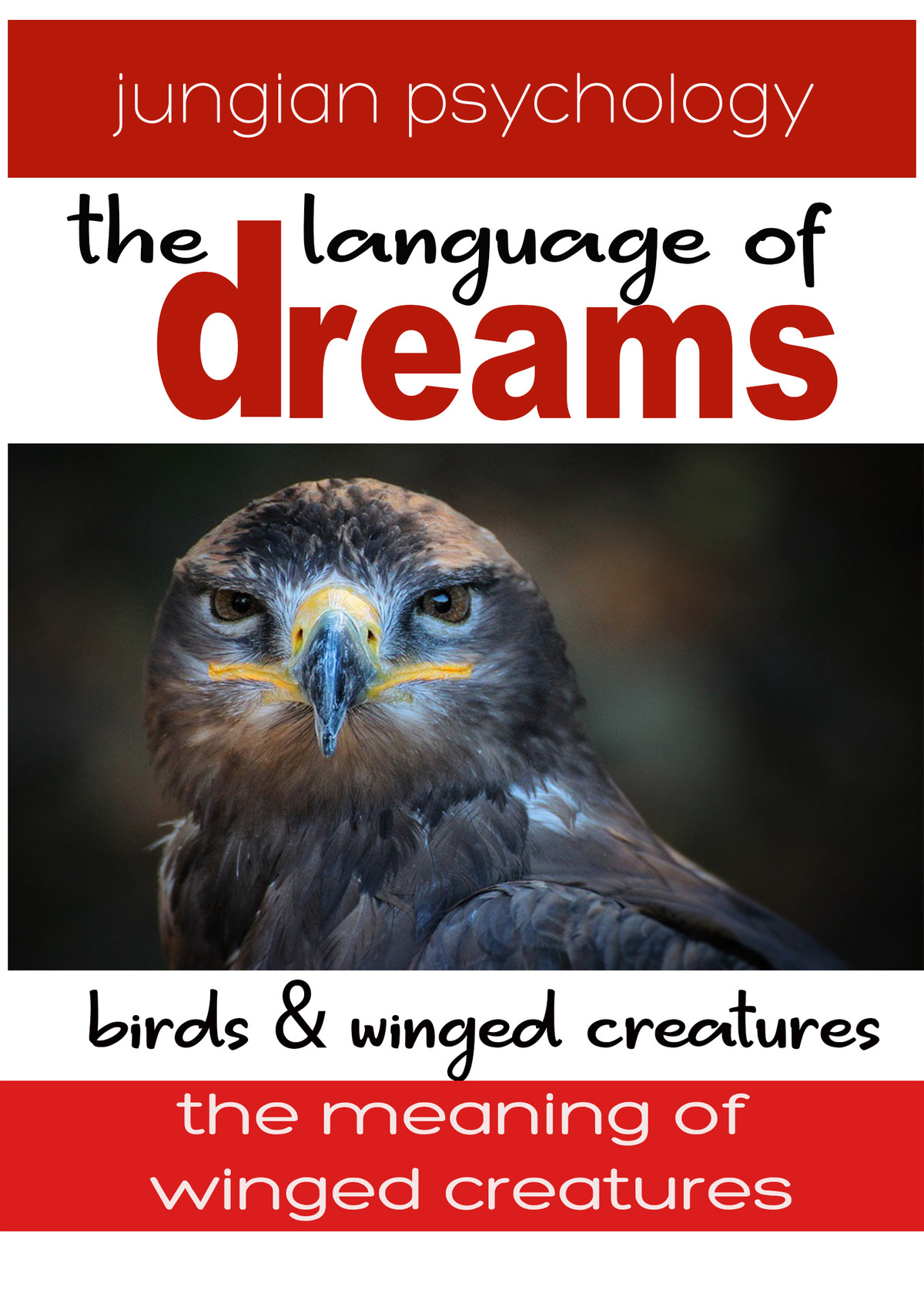 DR108 - Language Of Dreams Birds & Winged Creatures