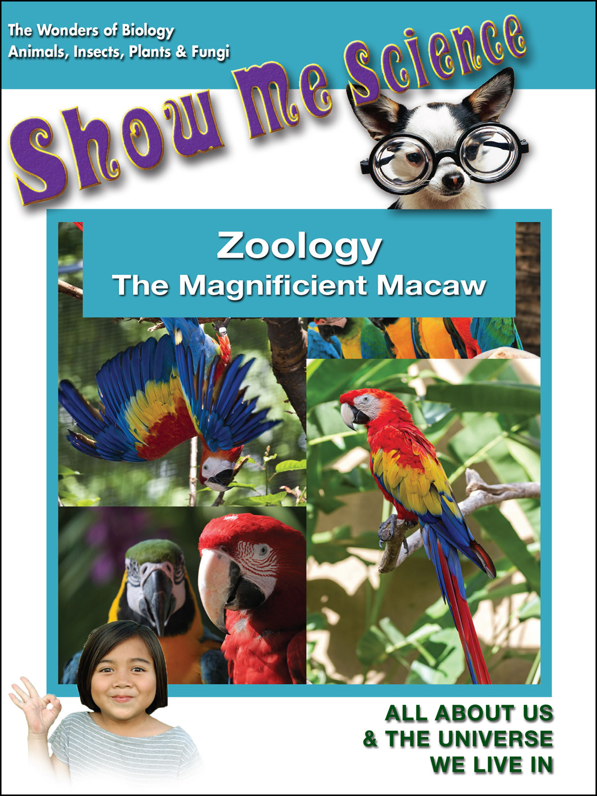 K4613 - Zoology The Magnificient Macaw