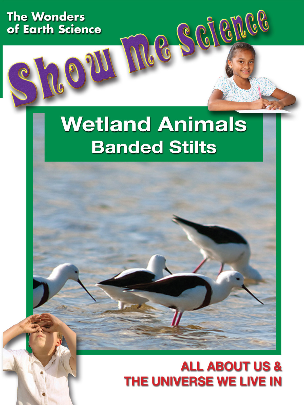 K4634 - Wetland Animals Banded Stilts