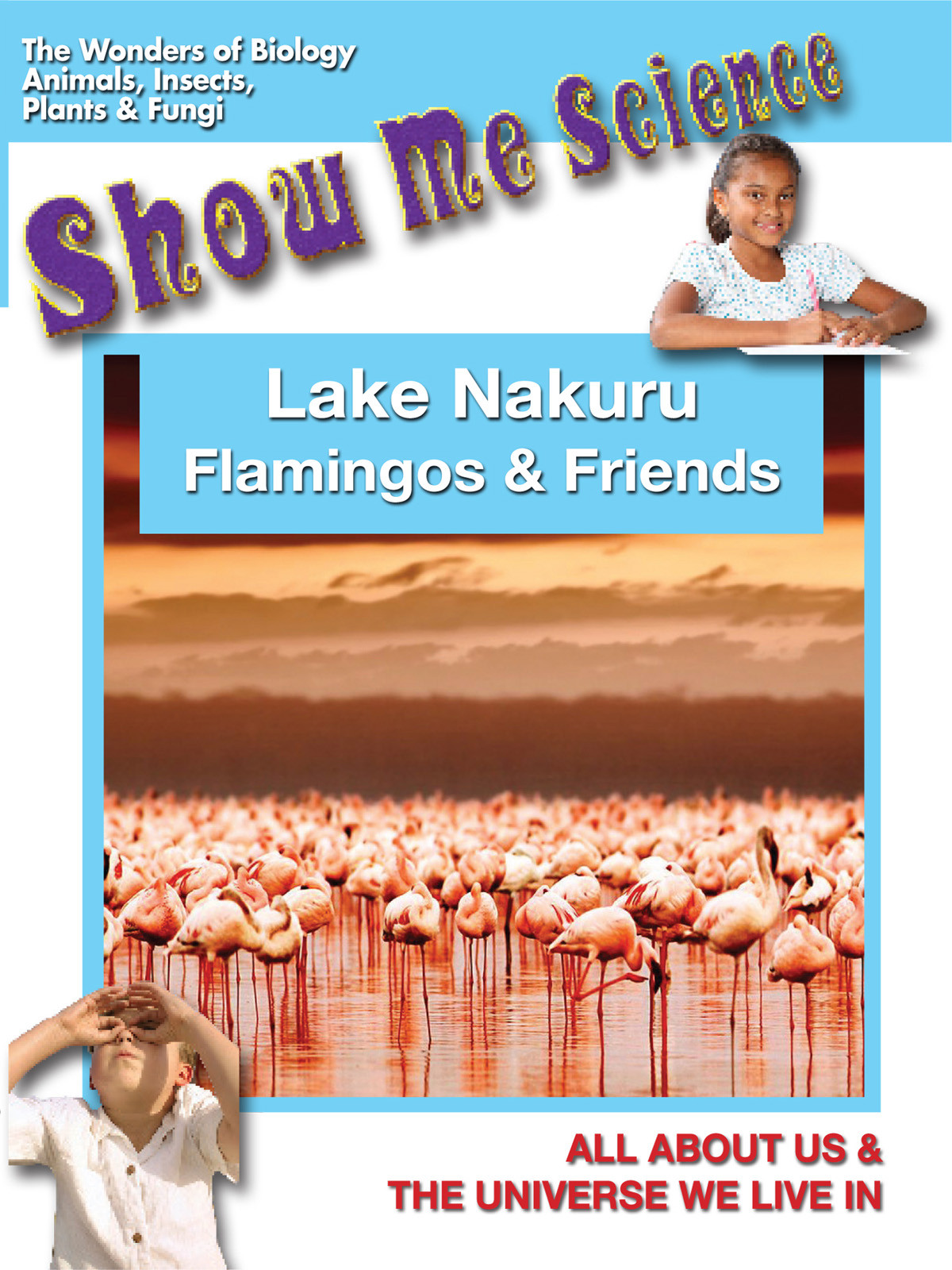 K4652 - Lake Nakuru Flamingos & Friends