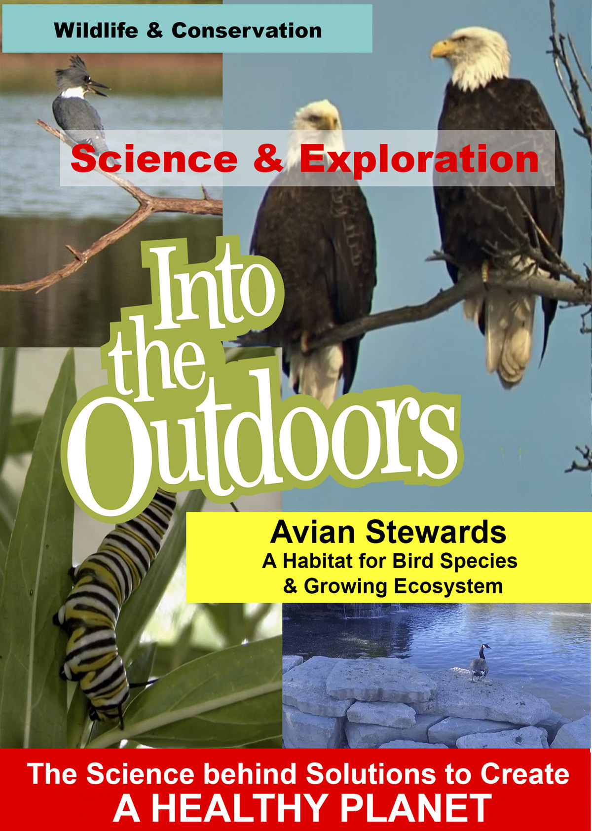 K4988 - Avian Stewards - A Habitat for Bird Species & Growing Ecosystem