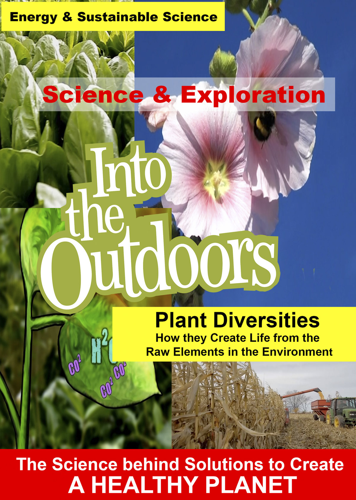 K4995 - Plant Diversities - How they Create Life from the Raw Elements in the Environment