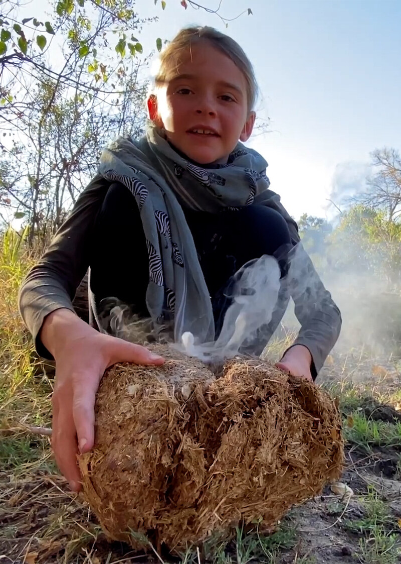 K5132 - On Safari with Nala - Elephant Dung