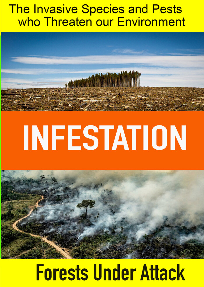 K5316 - Infestation - Forests Under Attack