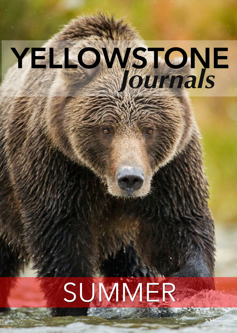 KB7043 - Yellowstone Journals - Summer