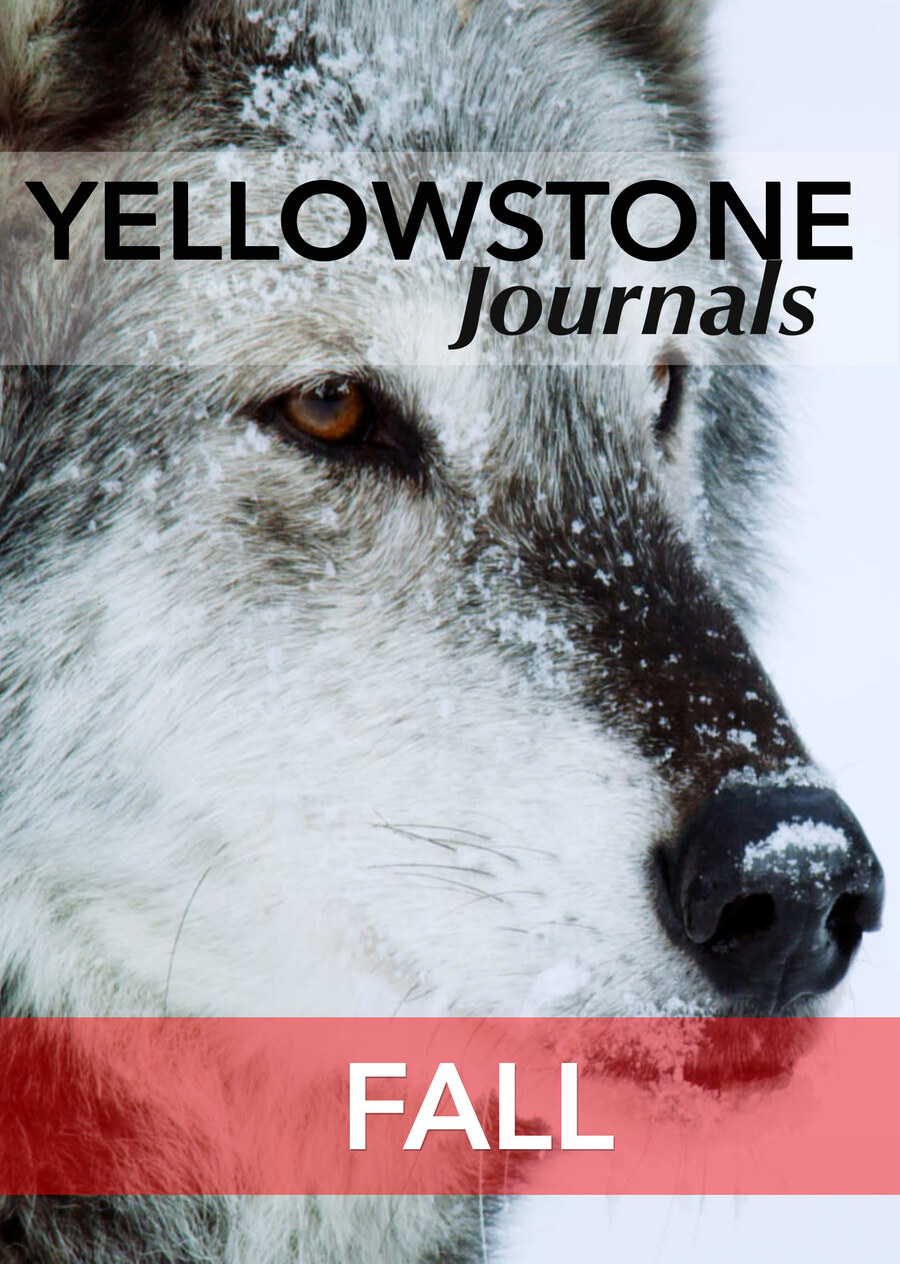 KB7044 - Yellowstone Journals - Fall