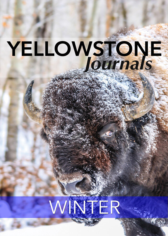 KB7045 - Yellowstone Journals - Winter