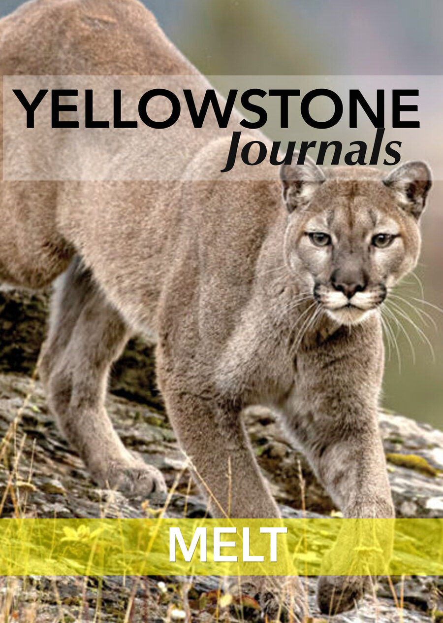 KB7046 - Yellowstone Journals - Melt