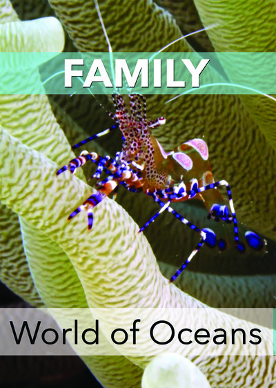 KB7049 - World of Oceans - Family