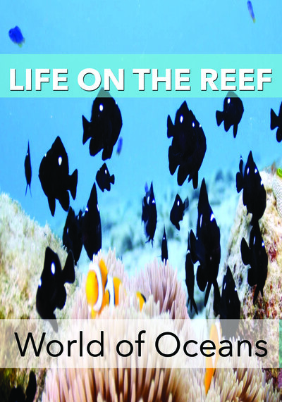 KB7051 - World of Oceans - Life on the Reef