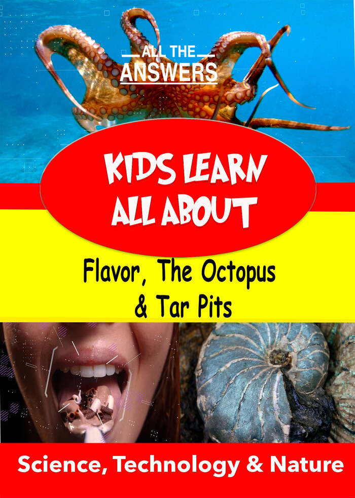 KB9182 - Kids Learn All About - Flavor, The Octopus & Tar Pits