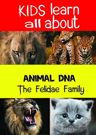 KB9189 - Kids Learn All About - The Felidae Family