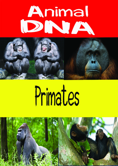 KB9196 - Animal DNA - Primates