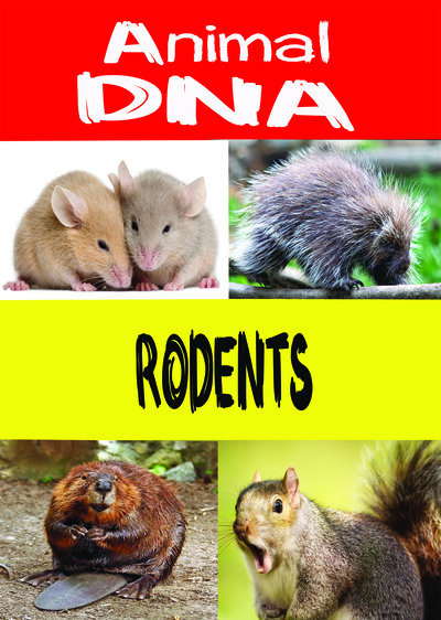 KB9199 - Animal DNA - Rodents