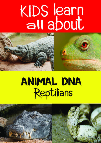 KB9203 - Kids Learn All About - Reptilians