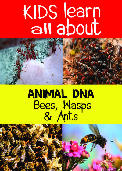 KB9205 - Kids Learn All About - Bees, Wasps & Ants