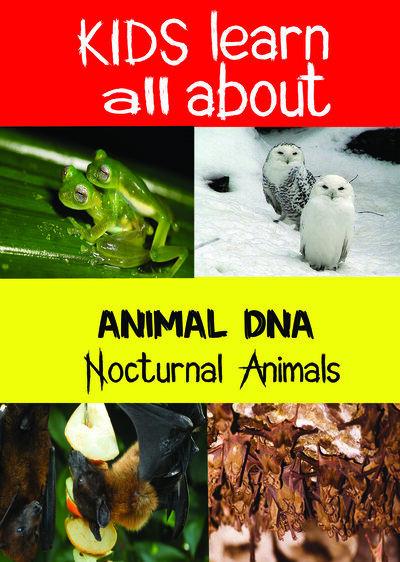 KB9206 - Kids Learn All About - Nocturnal Animals