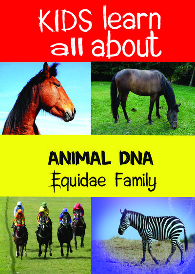 KB9207 - Kids Learn All About - Equidae Family