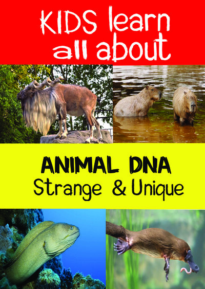 KB9214 - Kids Learn All About - Animals Strange & Unique