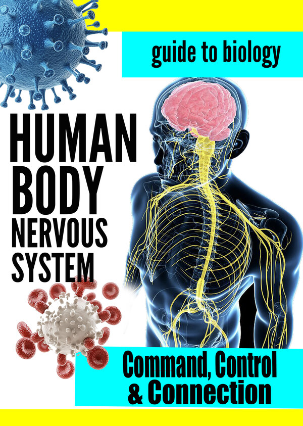 KB9410 - The Nervous System - Command, Control, and Connection