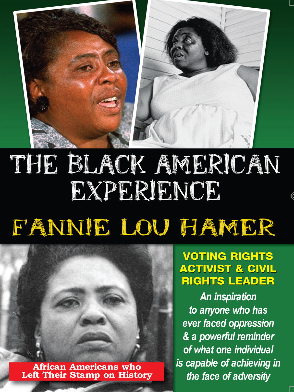 L5732 - Fannie Lou Hamer Voting Rights Activist