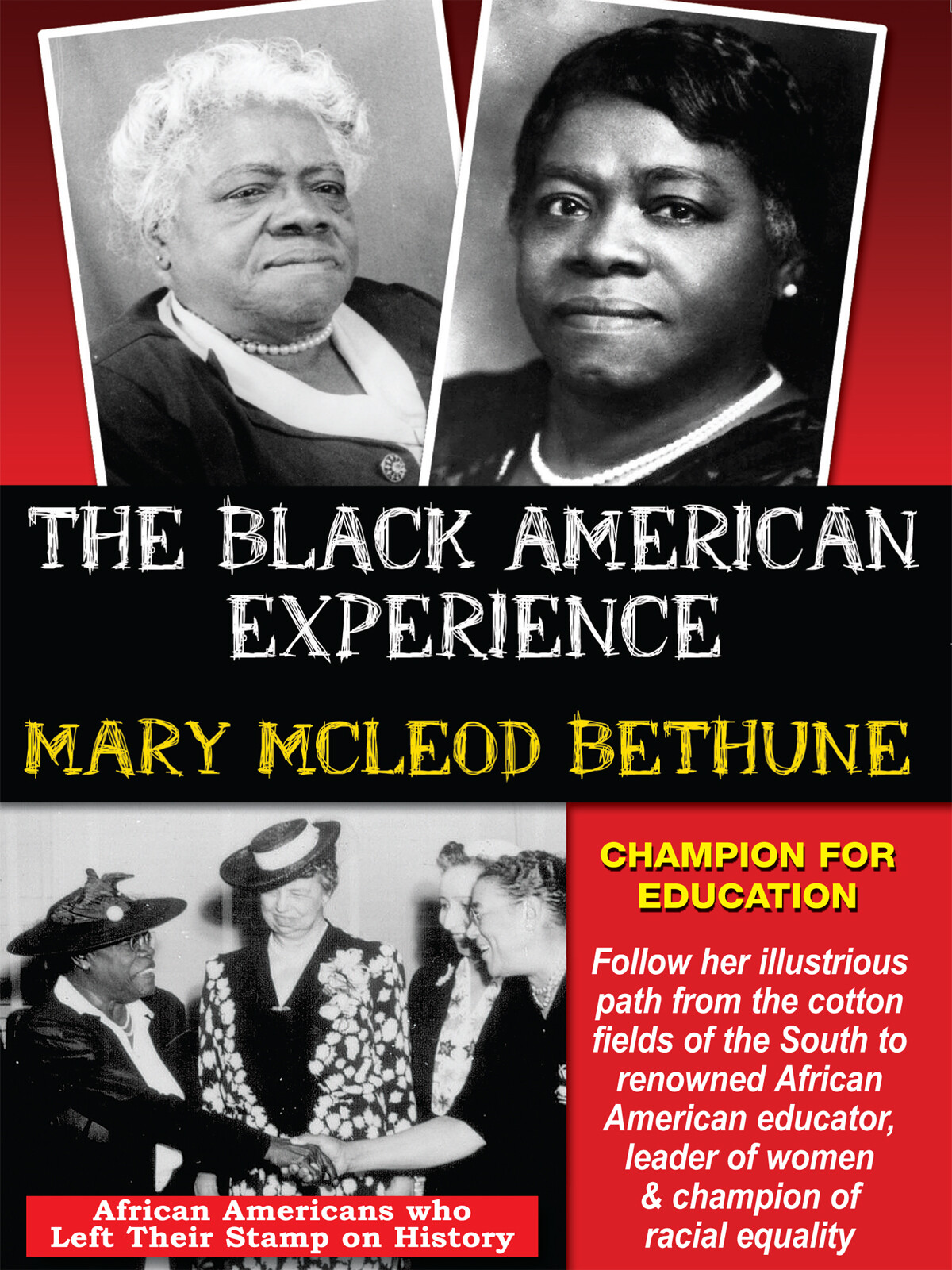 L5736 - Mary McLeod Bethune Champion For Education