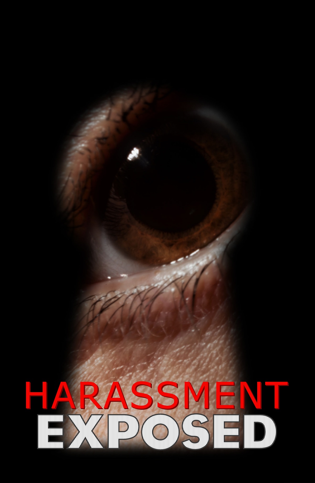 L7090 - HarassmentEExposed