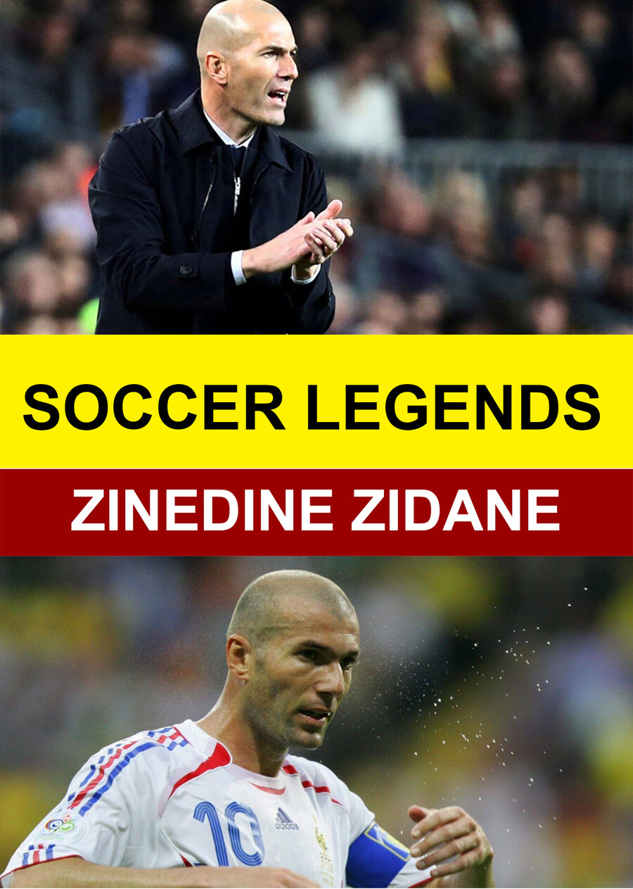 L7974 - Soccer Legends - Zinedine Zidane