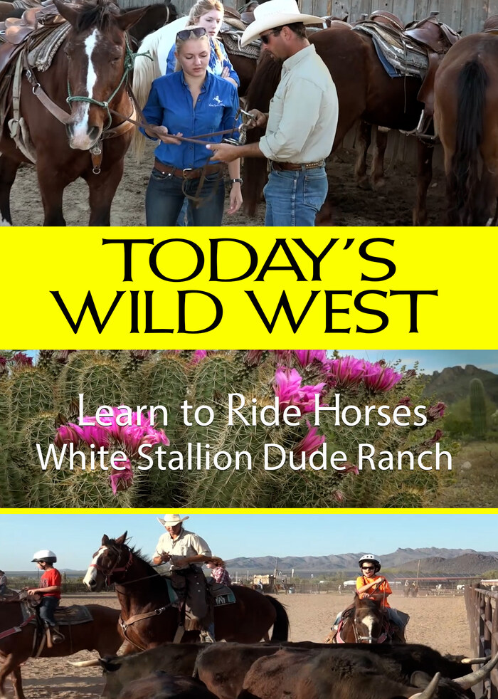 T7131 - Learn to Ride Horses - White Stallion Dude Ranch