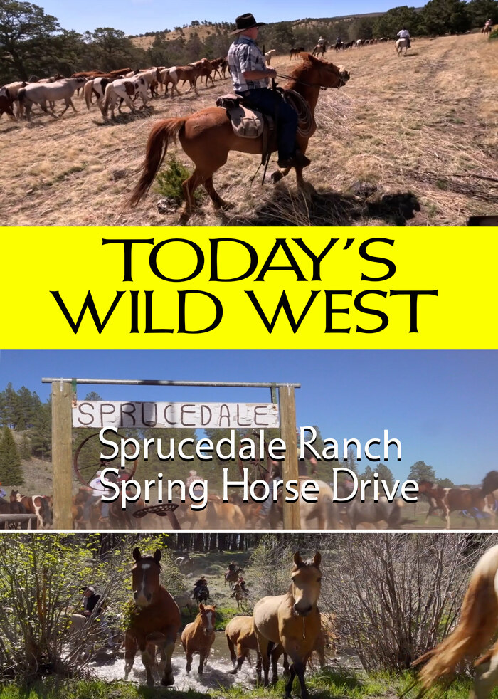 T7167 - Sprucedale Ranch Spring Horse Drive