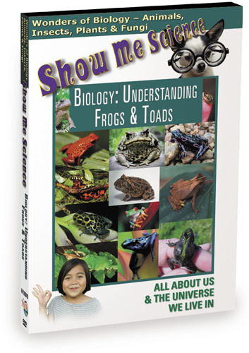 K4510 - Biology Understanding Frogs &Toads