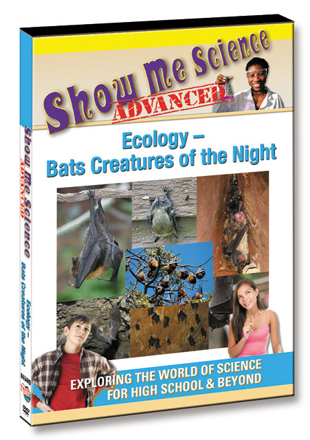 K4564 - Ecology Bats Creatures of the Night