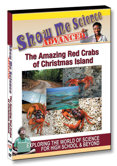 K4572 - The Amazing Red Crabs of Christmas Island
