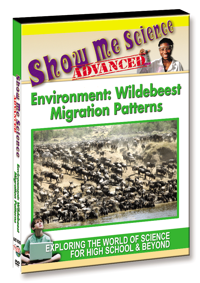 K4574 - Environment Wildebeest Migration Patterns