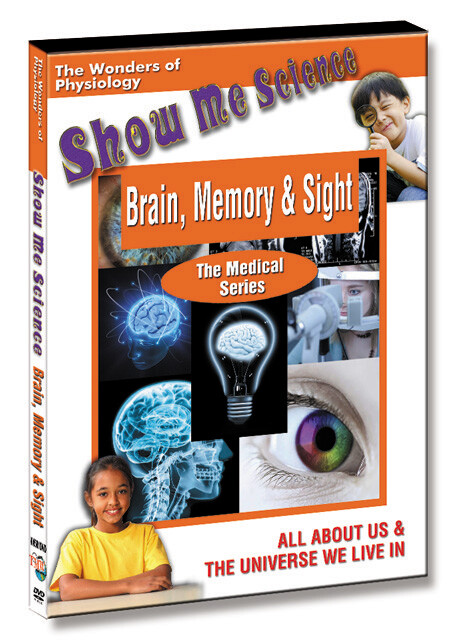 K4581 - Brain, Memory & Sight