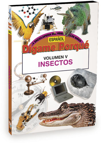 K6245 - Tell Me Why Insects Spanish