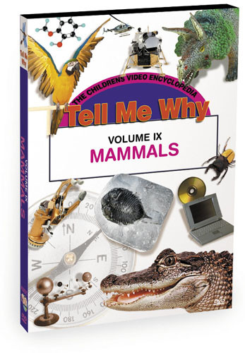 K628 - Tell Me Why Mammals