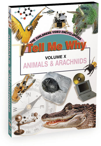 K629 - Tell Me Why Animals & Arachnids