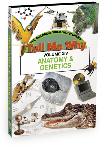 K636 - Tell Me Why Anatomy & Genetics