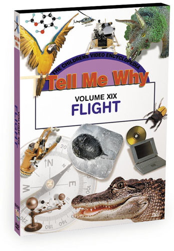 K641 - Tell Me Why  Flight