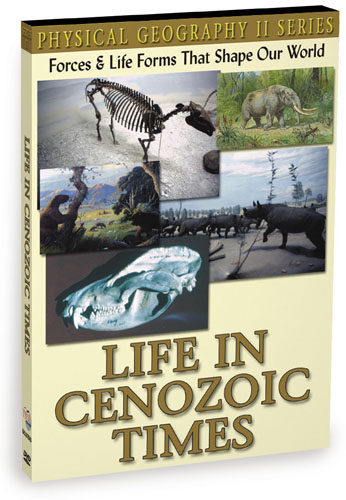 KG1167 - Life In Cenozoic Times