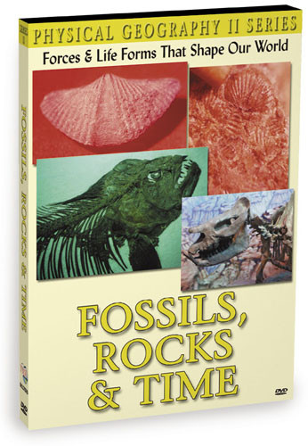 KG1170 - Fossils, Rocks & Time