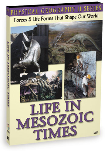 KG1174 - Life In Mesozoic Times