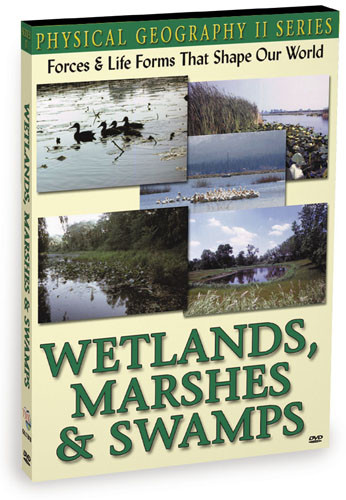 KG1175 - Wetlands, Marshes & Swamps